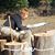 Becky Allen- Brotnov's profile image