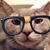 Mark Levander's profile image