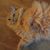 Holly Denison Hausrath's profile image