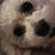 Bev Altmeier's profile image