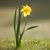 Desiree Porter's profile image