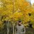 Bryce Poulson's profile image
