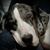 Christie Inman's profile image