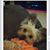 Kate S. Lasiter's profile image