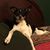 Susan Riddle's profile image