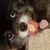 Mike Marshall's profile image