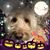 Roberta Cataldi Simone's profile image