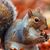 Marsha Borgersen's profile image
