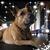 Robbin Zaffino's profile image
