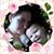 Ashley Gadue's profile image