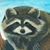 Sonya Reasor's profile image