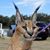 Teri Panisset's profile image