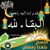 Ahmed Nofal's profile image