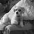 Joann Schmidt's profile image
