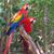 Jackie Neidermire's profile image
