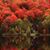 David McMurtrey's profile image