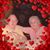 Dawn Kempf Hieston's profile image