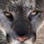 Micki McGovern's profile image