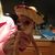 Ashton Munchie Alvarez's profile image
