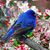 Dianne Bobo Walker's profile image