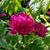 Mary J. Lanford's profile image