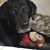 Kristi Lindblad-Bengtson's profile image