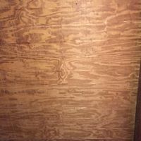 Misty Nelson's profile image