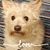 Dawn M. Nichols's profile image