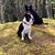 Jamie Buller's profile image