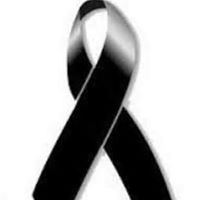 Patricia Felix's profile image