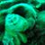 Isaac Redding's profile image