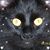 Kimberly Piercefield's profile image