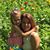 Shelly Costner's profile image