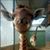 Jen Koala's profile image