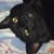 Allison Richcreek's profile image
