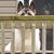 Jason Beake's profile image