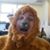 Eben Schultz's profile image