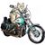 Lynne Kiessel's profile image
