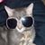Oliva Gutierrez's profile image