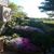 Sandra Bucknam's profile image