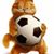 Garfield Velázquez's profile image