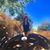Darlene M Loftin's profile image