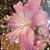 Becky Grigsby's profile image