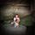 Kali D.'s profile image