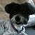 Jo Lynn Moore Senkel's profile image