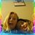 Amanda Wolfe's profile image