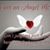 Cindy Robertson's profile image