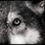 Holly Kuchera's profile image