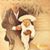 Paulin Bravo's profile image