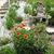 Gayle Martinsen Siverio's profile image
